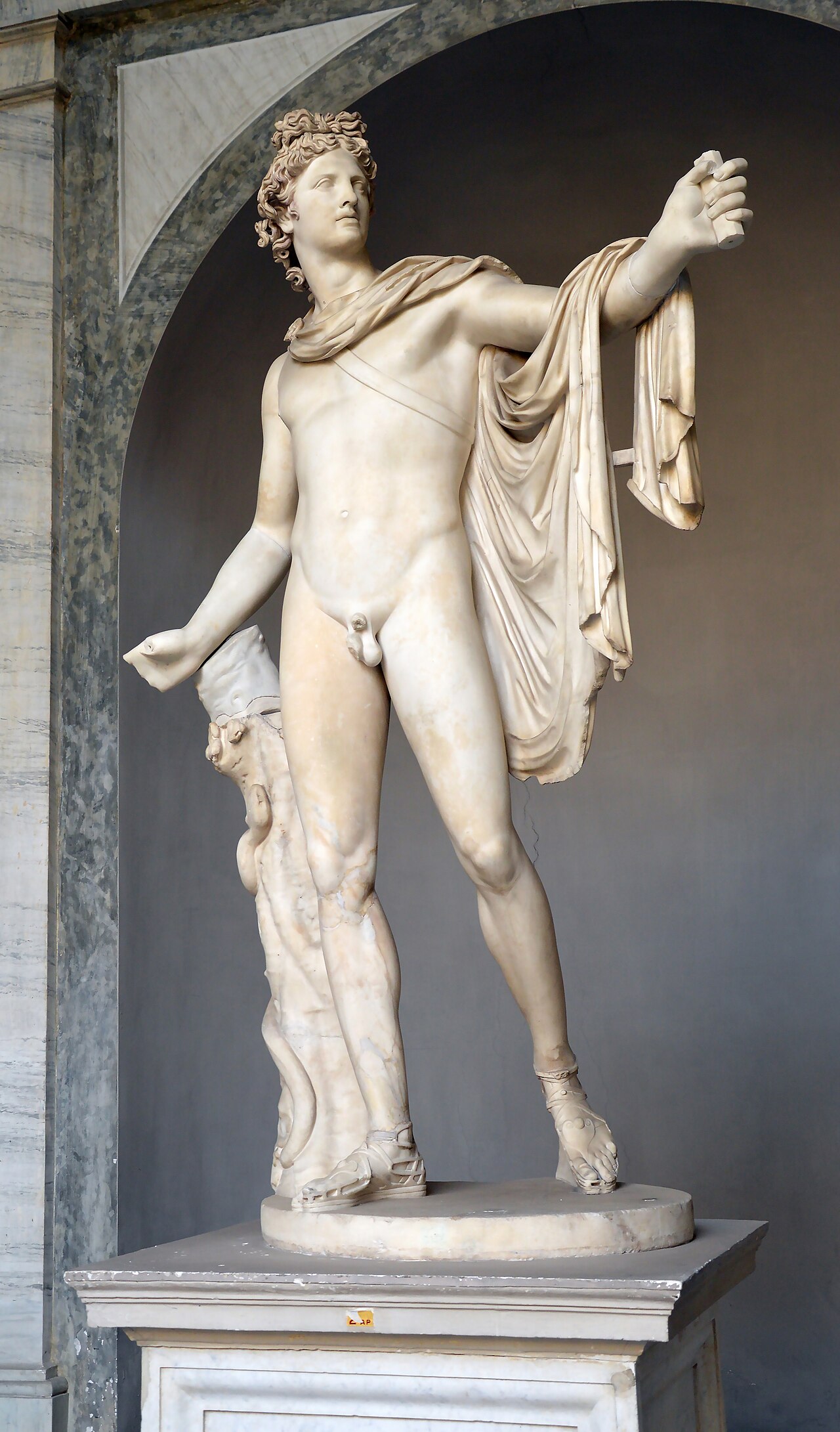 The Apollo Belvedere, a classical marble sculpture of the god Apollo at the Vatican Museums